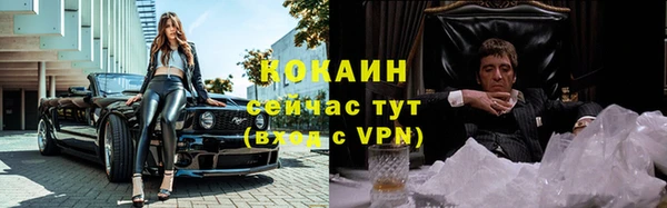 Альфа ПВП Корсаков