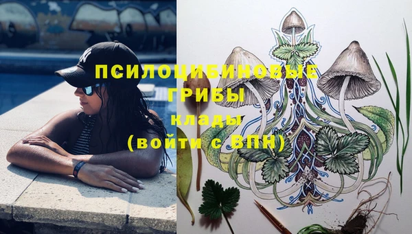 Альфа ПВП Корсаков