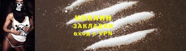 гидропоника Коряжма