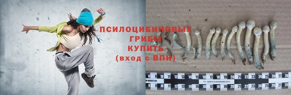 гидропоника Коряжма