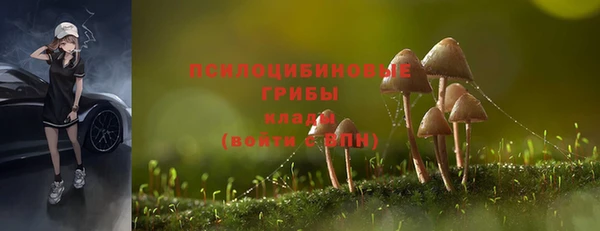 гидропоника Коряжма