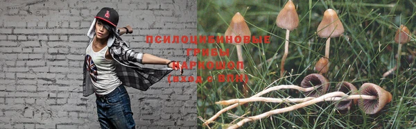 гидропоника Коряжма
