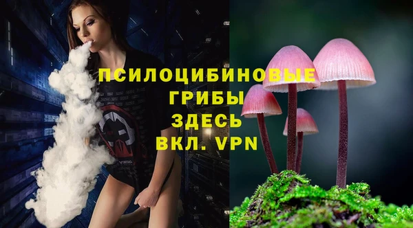 Альфа ПВП Корсаков